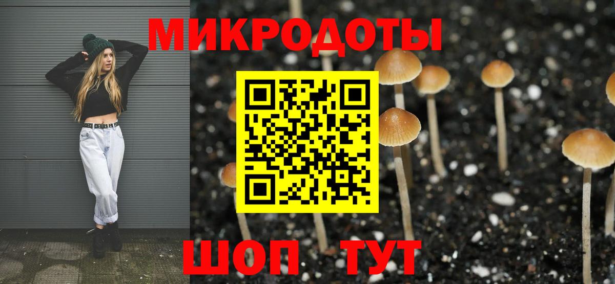 Горячий Ключ  Псилоцибиновые грибы GOLDEN TEACHER  Вход с VPN  где купить наркотик  Галлюциногенные грибы Cubensis 
